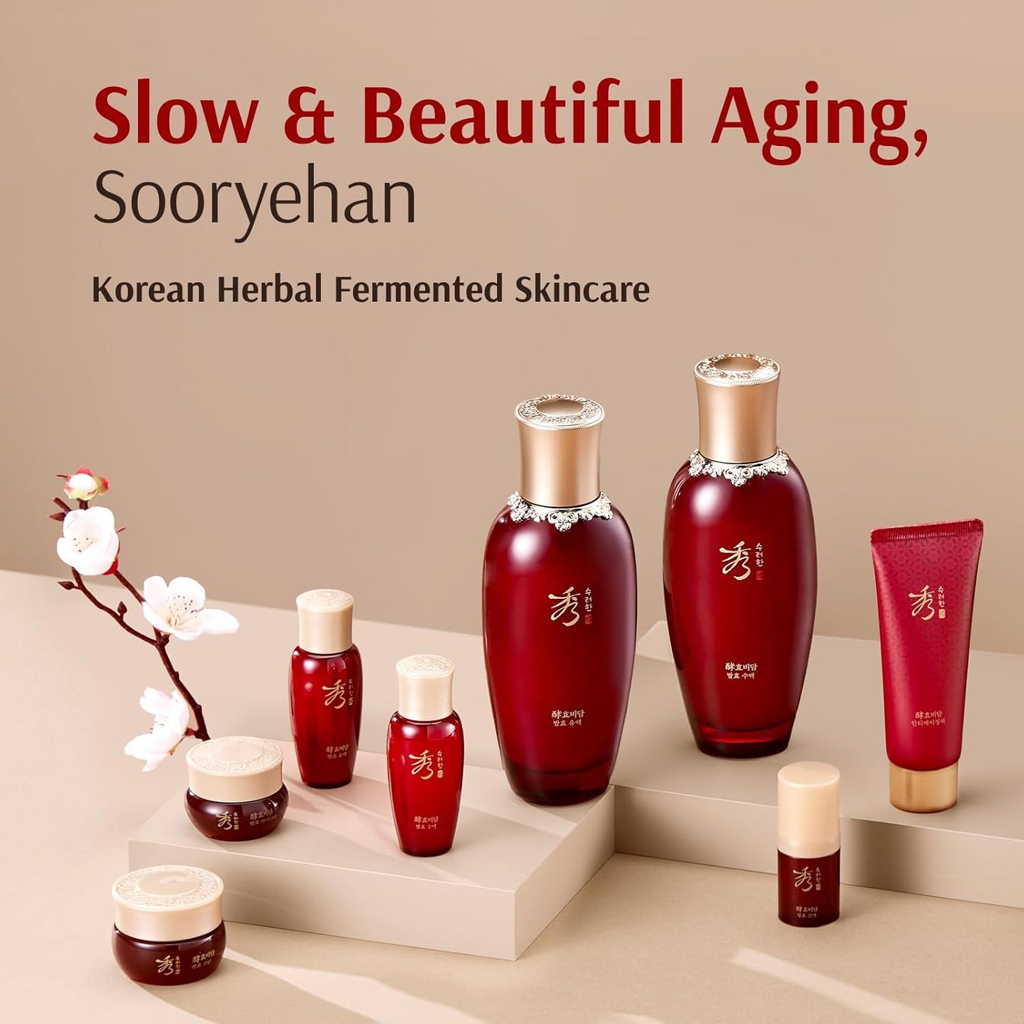 Hyobidam Fermented Skincare Gift Set with Wild Ginseng - Premium Korean Anti-Aging Skin Care Kit for Intense Hydration, 13.53 Fl Oz (Full Size Toner & Emulsion + Mini Cream, Eye Cream, Mask)