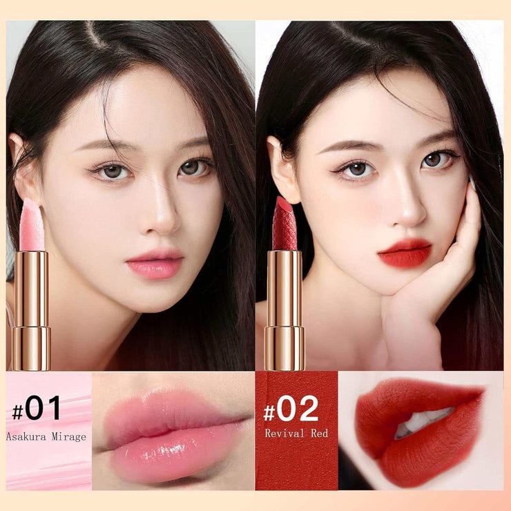 Velvet Matte Lipstick Set with 4 colors including soft pink and vibrant red, long-lasting waterproof formula in elegant gold tubes.