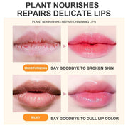 2-pack color changing lipstick set pink crystal flower jelly moisturizing lip balm before and after lip color transformation